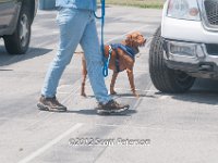 DSC 4669