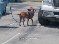 DSC 4670