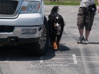 DSC 4671