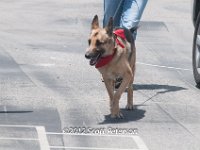 DSC 4673
