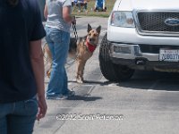 DSC 4674