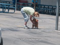 DSC 4675