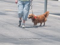 DSC 4676