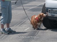 DSC 4678