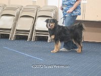 DSC 4683