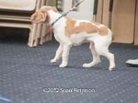 DSC 4695