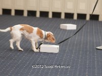 DSC 4697