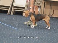 DSC 4699