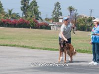 DSC 3855
