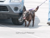 DSC 3866