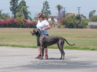 DSC 3890