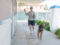 DSC 3919