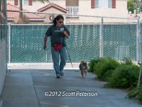 DSC 3930
