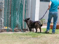 DSC 3940