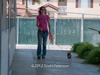 DSC 3949