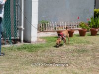 DSC 3958
