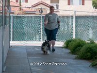 DSC 3960