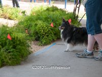DSC 3961