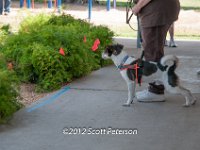 DSC 3966