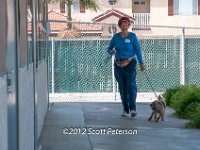 DSC 3976