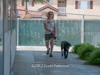 DSC 3986