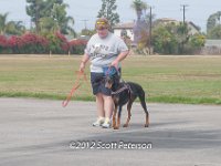 DSC 4704