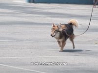 DSC 4712