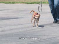 DSC 4720