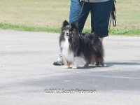 DSC 4725