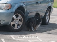DSC 4727