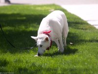DSC 2058