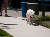 DSC 2059