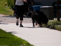 DSC 2067