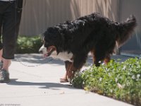 DSC 2068