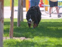 DSC 2070