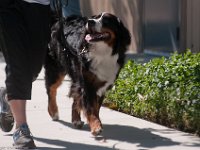 DSC 2072