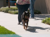 DSC 2083