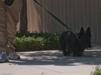 DSC 2085