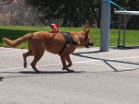 DSC 3525