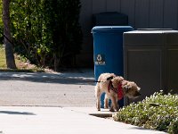 DSC 3557