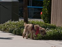 DSC 3558
