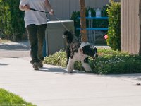 DSC 3568