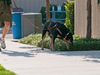 DSC 3574