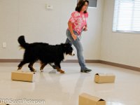 DSC 0230