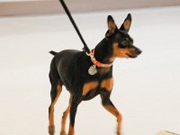 DSC 0240