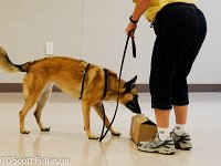 DSC 0255
