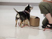 DSC 0260