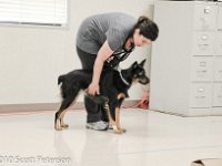 DSC 0305