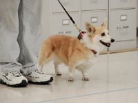 DSC 0307