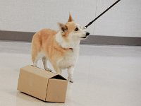 DSC 0308